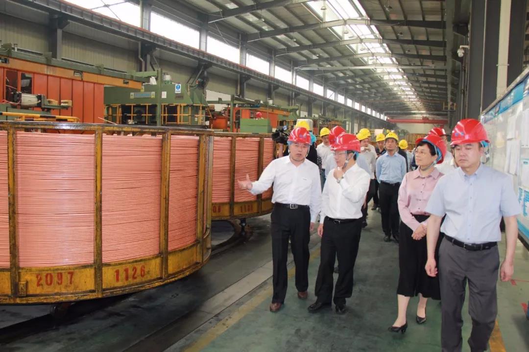 1558431304946636snXr.jpg 2.jpg